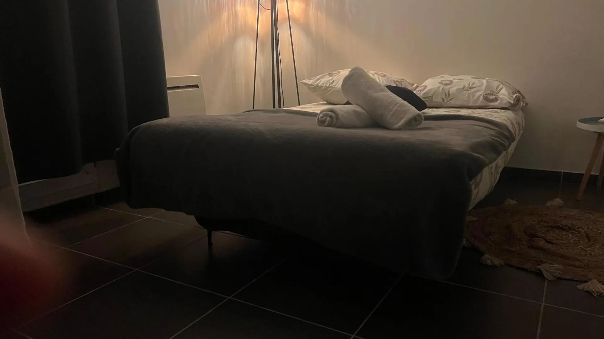 Studio Hanoi Charpenne Villeurbanne 0*,  France